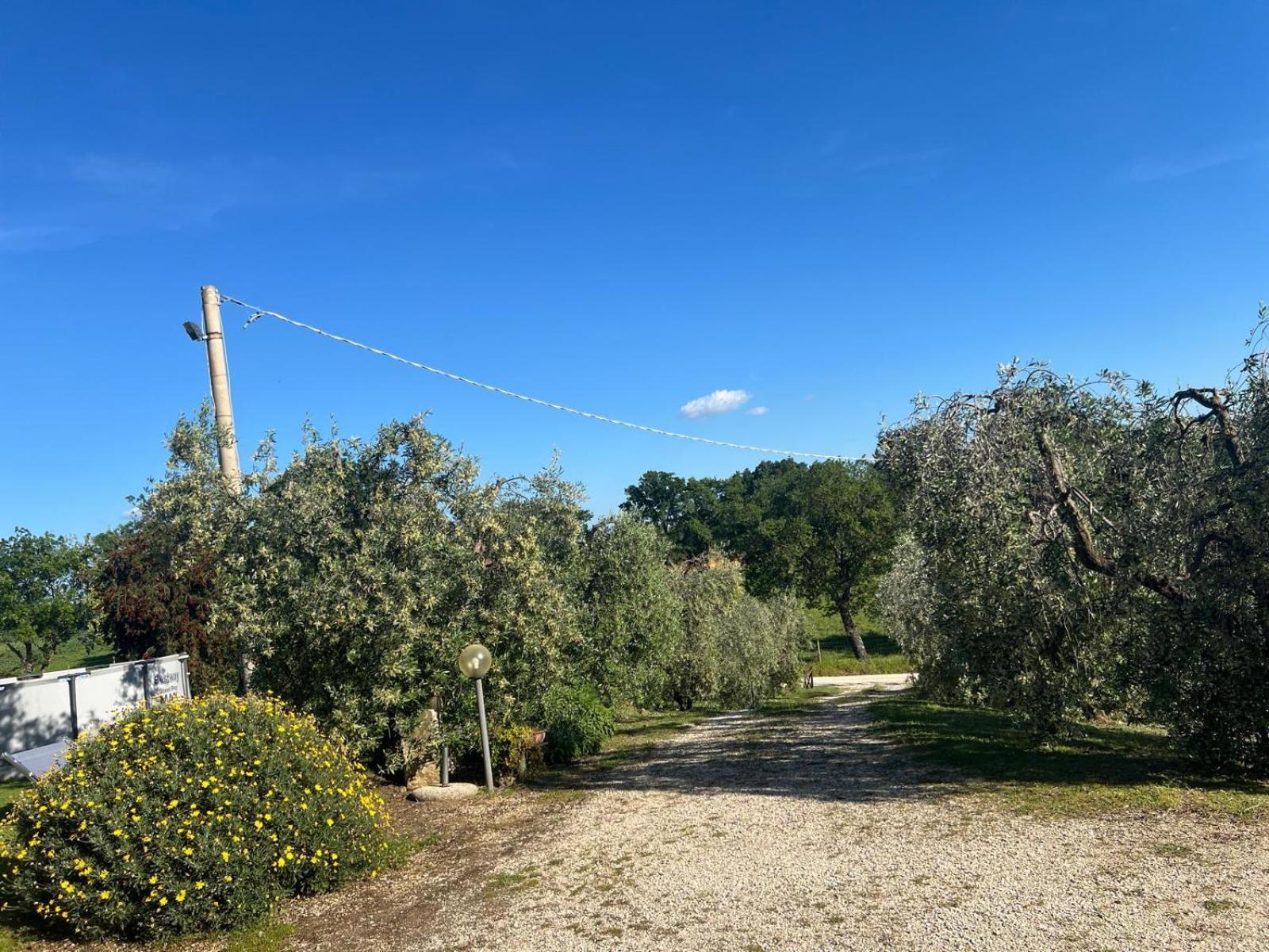 Agriturismo La Castellina Saturnia Eksteriør billede